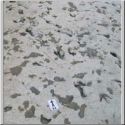 100_0930 (2009-27-07)m.JPG